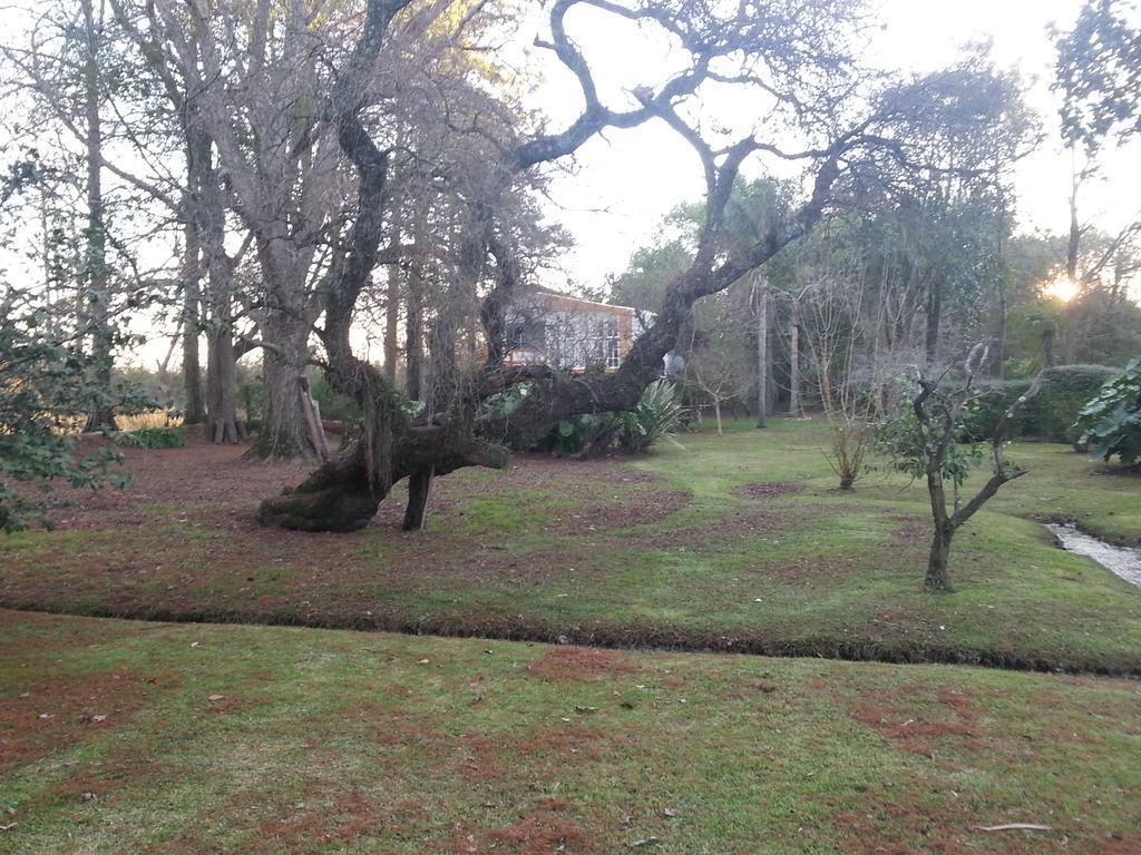 Casa Del Bosque Villa Tigre Eksteriør billede