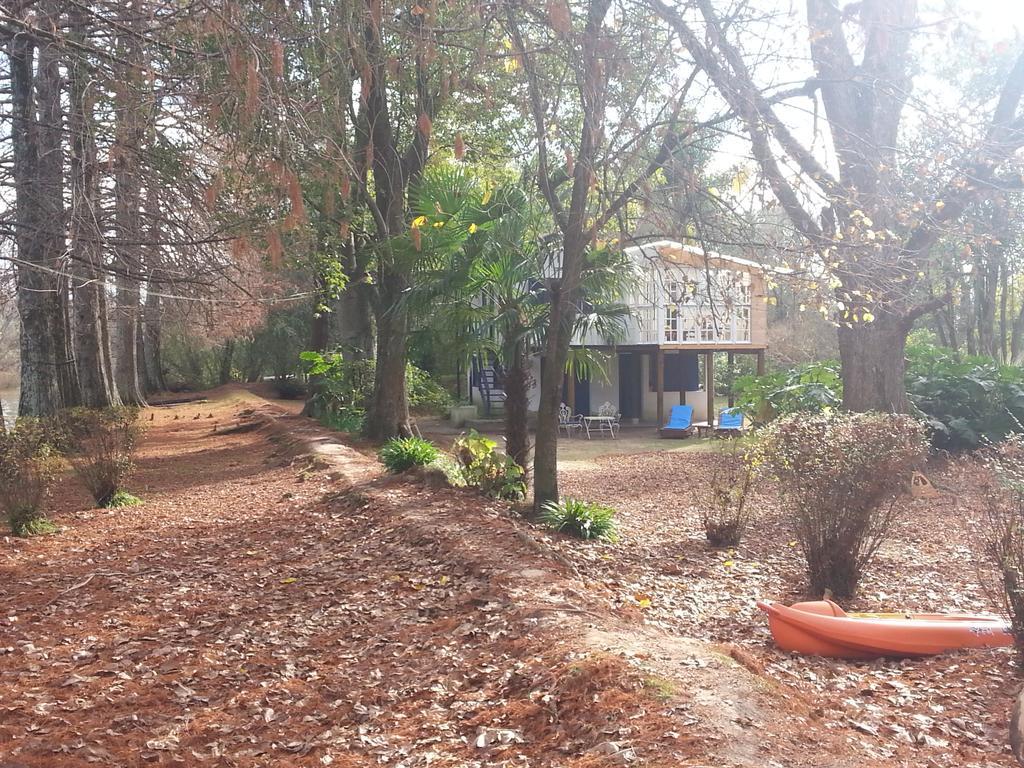 Casa Del Bosque Villa Tigre Eksteriør billede