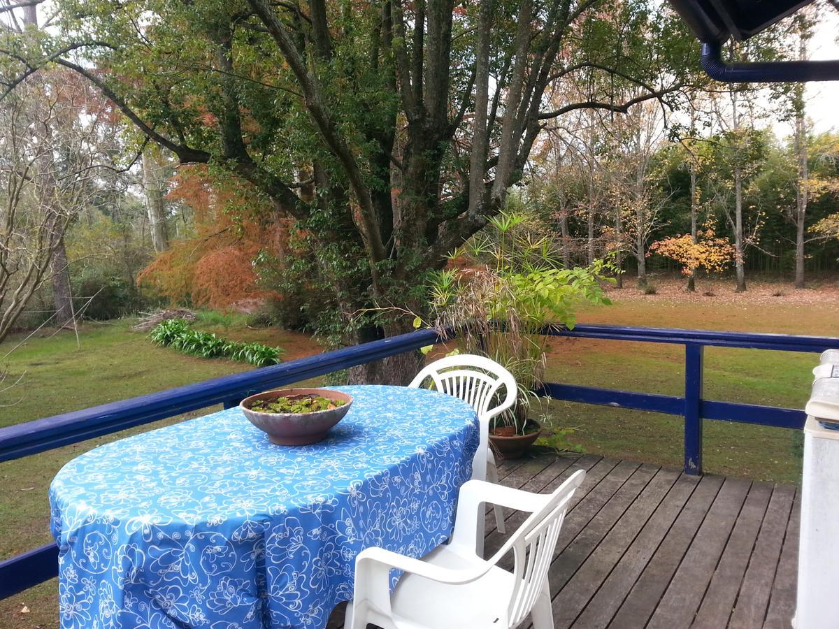Casa Del Bosque Villa Tigre Eksteriør billede