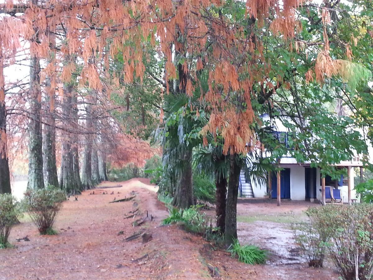 Casa Del Bosque Villa Tigre Eksteriør billede